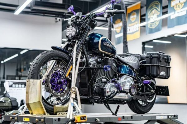 SOFTAIL SHIFT LEVER